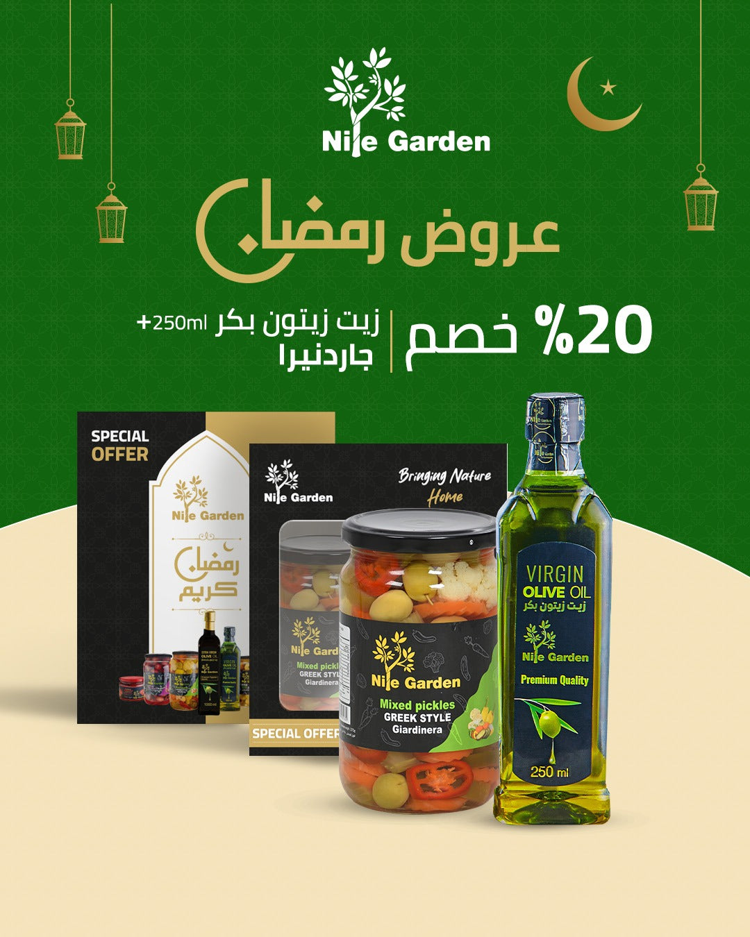 Olive oil and Greek mixed pickles box