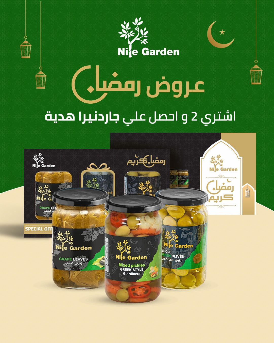 Green olives and stuffed grape leaves box with a gift from the heart of the Greek kitchen (Mixed pickles)